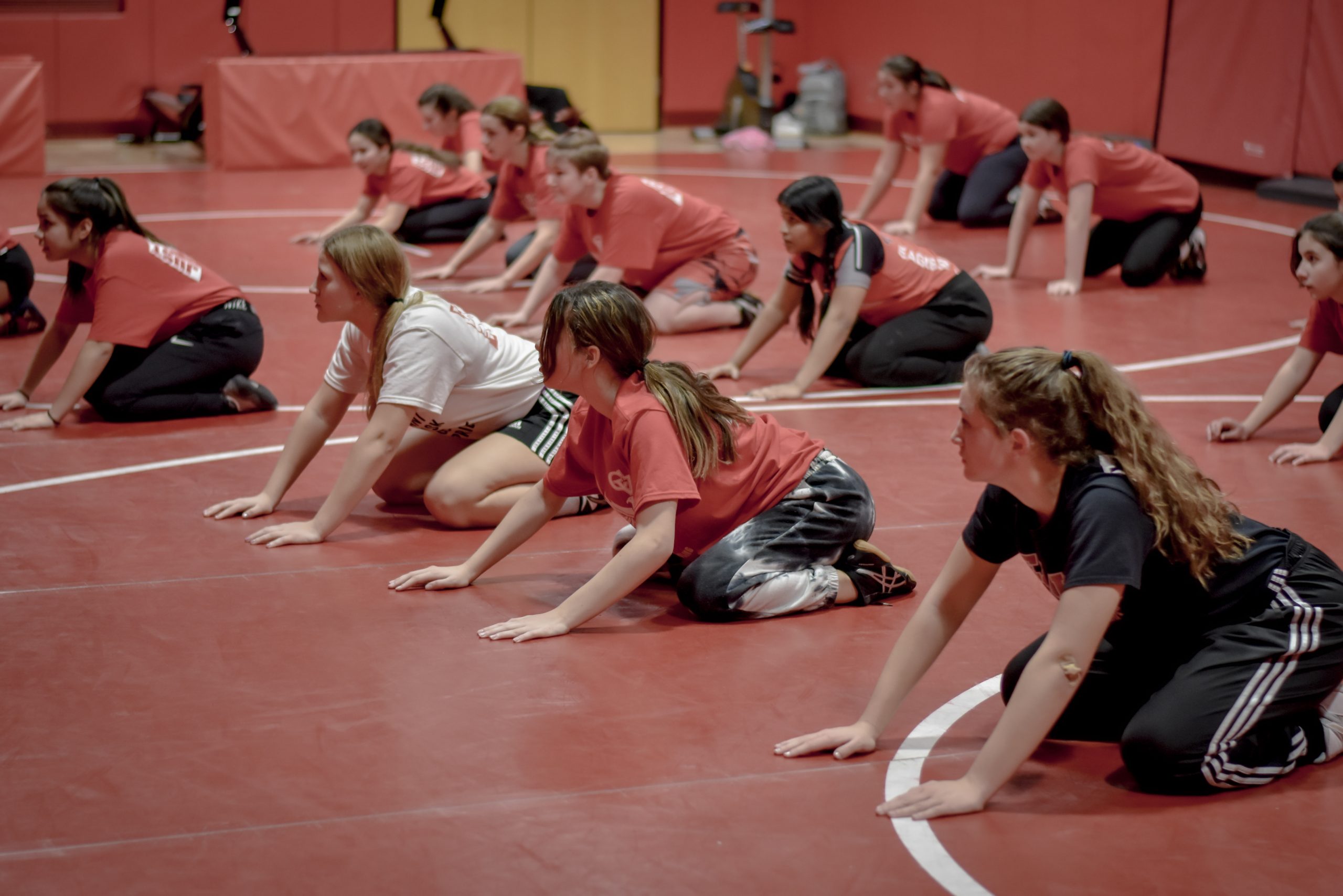 Cumberland Valley Girls Wrestling Club Pushing Towards Path Of Greater