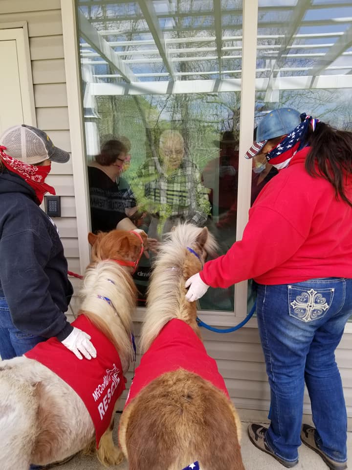 McConathy Farm Rescue Team helps Lexington area animals BVM Sports