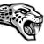 Ankeny Centennial Jaguars