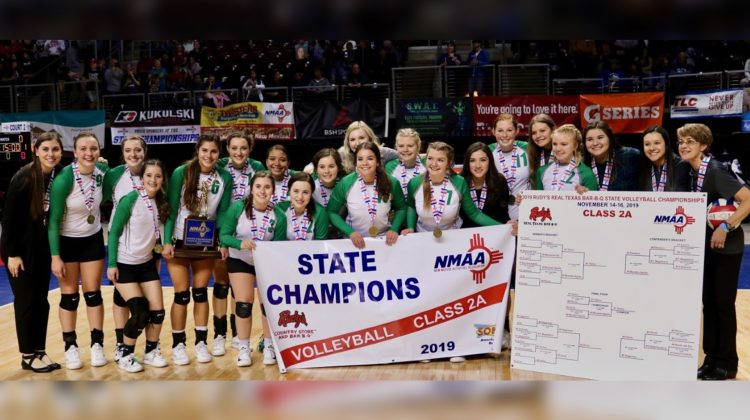 Texico volleyball has shot at state title seven-peat