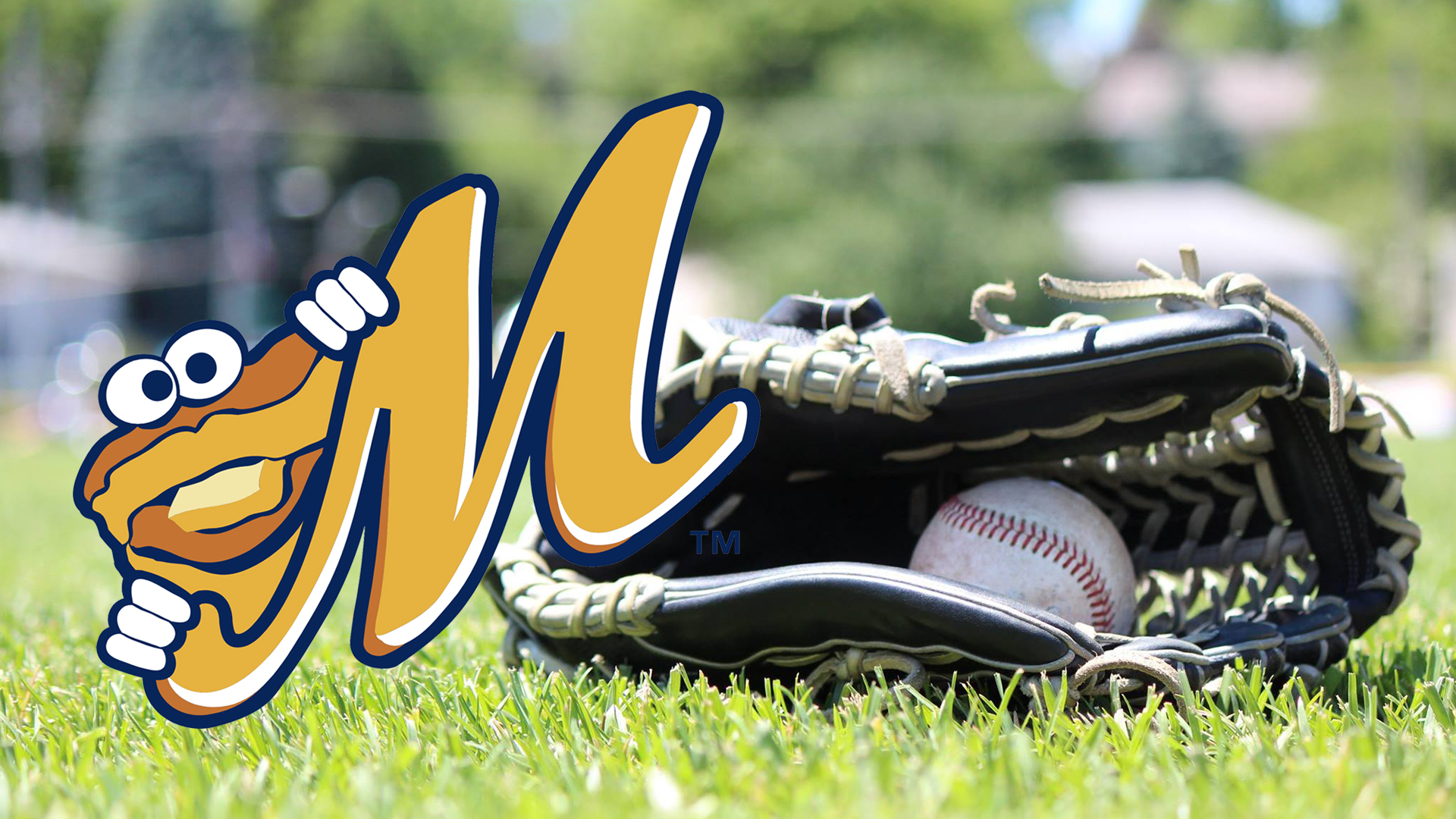 Montgomery Biscuits host Tampa Bay Rays