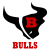 Bloomingdale Bulls