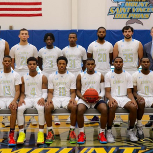 The Mount Saint Vincent Dolphins seek to make a big splash as contenders