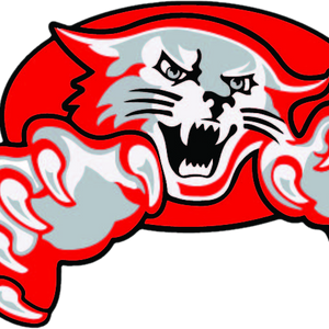 Las Vegas Raiders Draft Auburn LB Keyron Crawford: Key Facts and Analysis