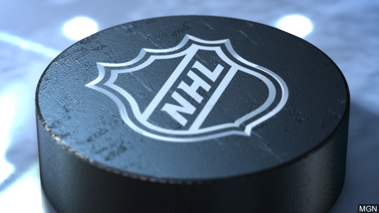 2020-2021 NHL season preview
