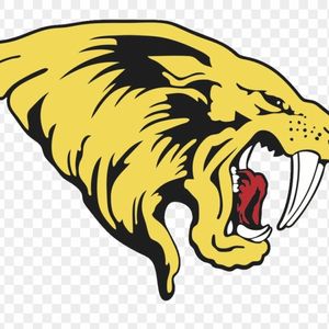 Alain Gomez-Gudino Powers Saguaro to 4A Championship Win