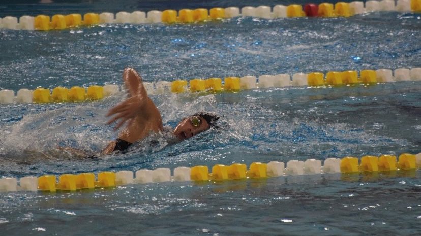 Swim Teams And Olympic Dreams