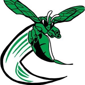 BD’s Ifft wins pole vault gold at Girls State Track Meet