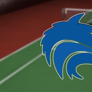 Plano West Wolves tennis dominates district tournament