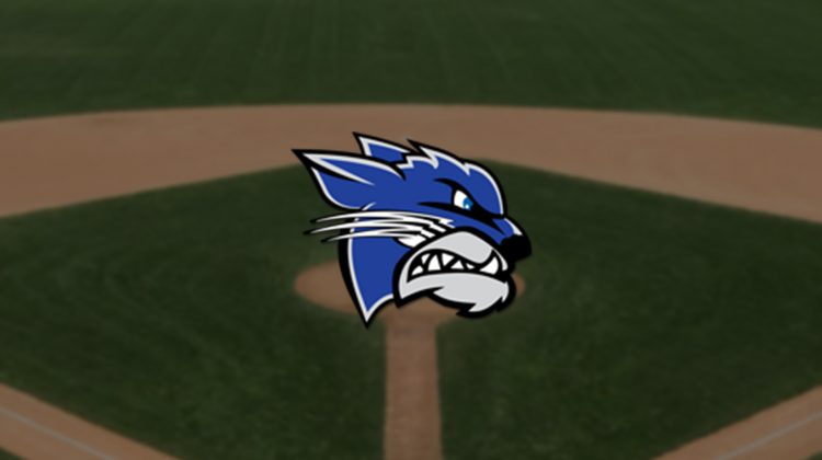 Walton-Verona baseball uses back-to-back no-hitters to advance to Region 8 championship