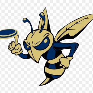 Find out who made the Vermont high school coaches’ all-league girls hockey teams