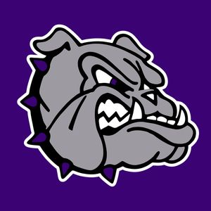 Arkansas cross country commit Williams wins state Gatorade award