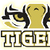 Fayette County Tigers