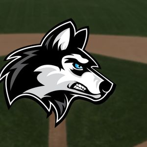 Hough High’s unbeaten baseball team