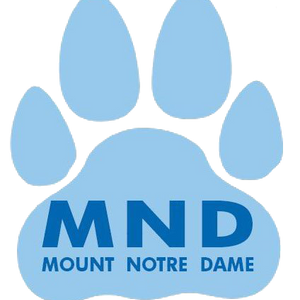 Mount Notre Dame hires Dani Szczepanski as next volleyball head coach