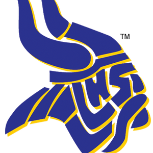 Arlington Lamar Vikings 2026 Season Preview