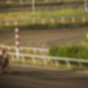 Winter Spectacular at World Equestrian Center continues with NSBA-sanctioned events