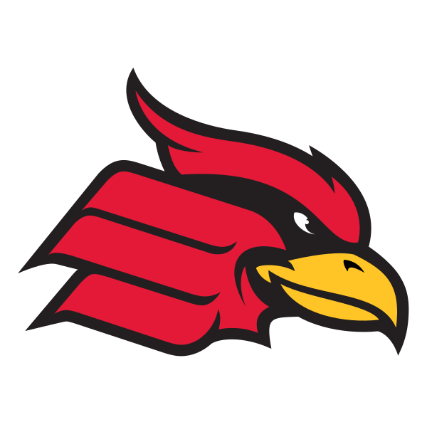 Wheeling Cardinals Baseball - BVM Sports