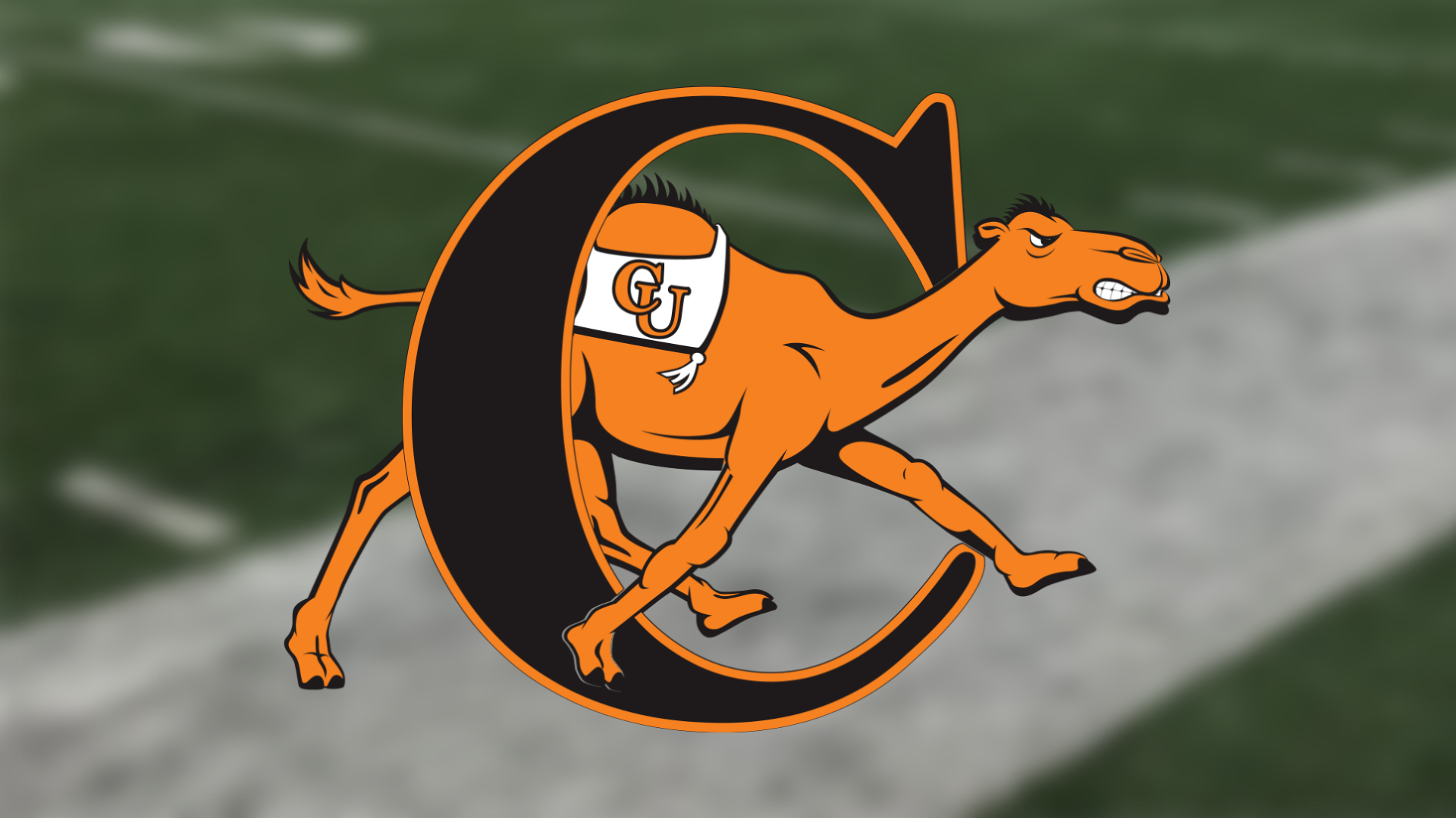 Three Camels sign with NFL teams - Campbell University