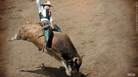 Rodeo as Alberta’s official sport?