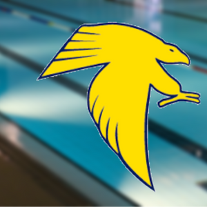 High hopes for Whitnall HS girls diving team with returning star athlete