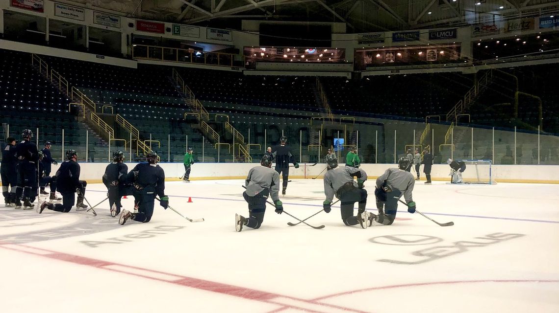 Brad Ralph is giving his all coaching the Florida Everblades