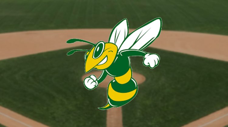 What to expect from the SCDS Hornets baseball team in the new season