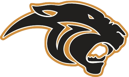 Boys basketball: Wheeler falls to Plainfield