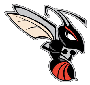 Area roundup: Braydon Laesch has huge rushing night in Heyworth victory