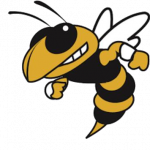 Hinsdale South Hornets