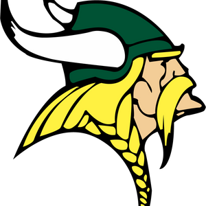 Illinois high school football: Week 9 IHSA scores