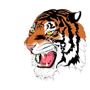 Mater Dei vs Bluffton IHSAA 2A baseball state championship live score, updates
