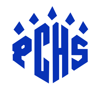 Polk County Boys Soccer Beats Pine Lake Prep, Heads to State Final