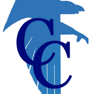 Cedar Crest senior wins gold medal in PIAA girls 3A javelin