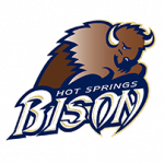 Hot Springs Bison