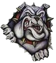 Hornets suffer road loss against Avery