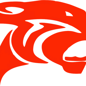 Signing Success: 30 Panther athletes are taking their talents to the collegiate  level