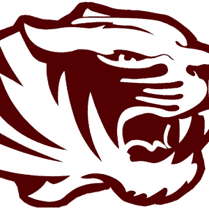 AREA SOFTBALL: Silsbee defeats Lufkin, Beaty’s perfect game lifts Central