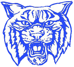 Lena’s Taylor Whiting makes history with fourth state wrestling title