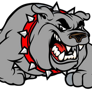 Green Bay High School Basketball and Hockey Results from Dec. 12