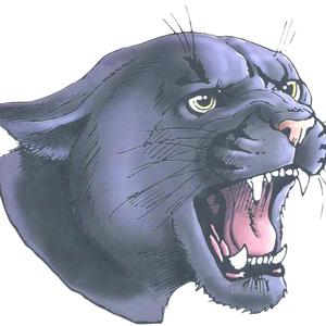 Green Bay-area high school sports results for Saturday, Sept. 12
