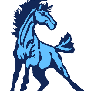 Petersburg girls’ season ends in region co-finals