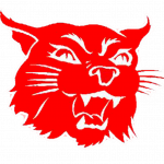 Harding Academy Wildcats