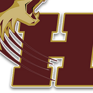 Perseverance against Coyotes despite setbacks