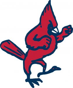 Pacelli Girls Basketball Makes History, Reaches First State Tournament