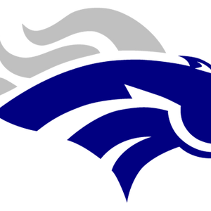 Florida Approves Open Division Playoffs for Football and 10 Sports