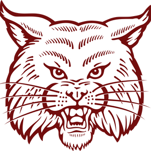 Cy-Fair Bobcats 2026 Season Preview: Key Players and Schedule Insights