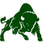 Bethany College Bison