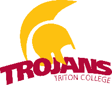 Triton boys basketball falls to Barr-Reeve in Class 1A state championship