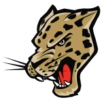 Follow your favorite teams